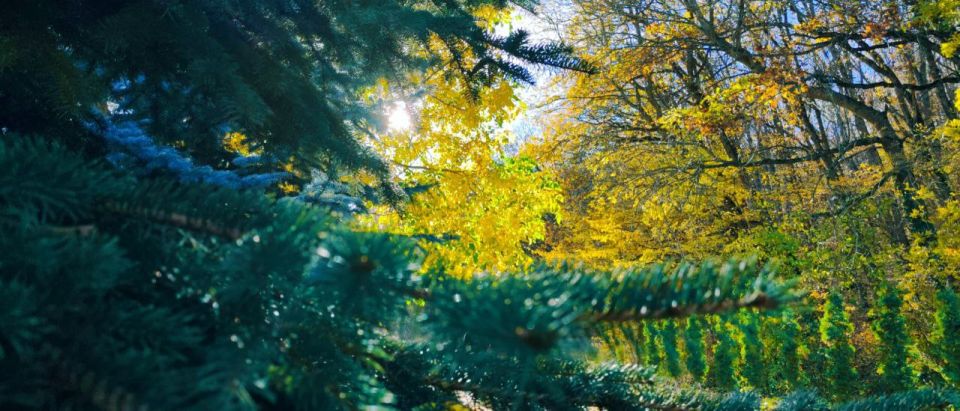 ���������� ������� ��� � �����