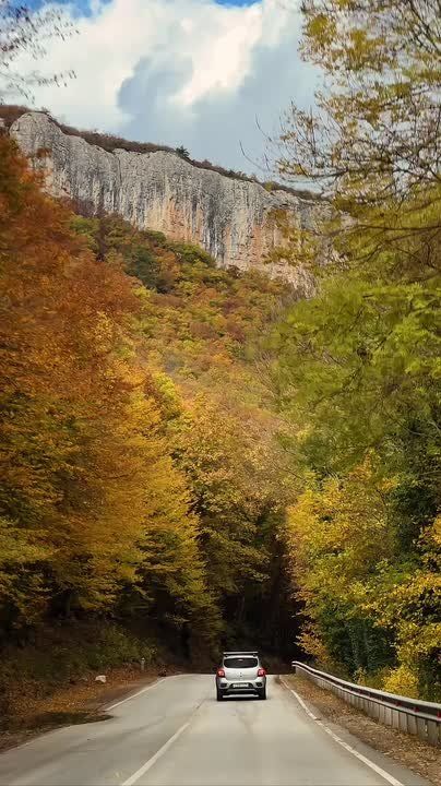 ���-5 ����� �����, �� ������� ��� ������ ����� �����������