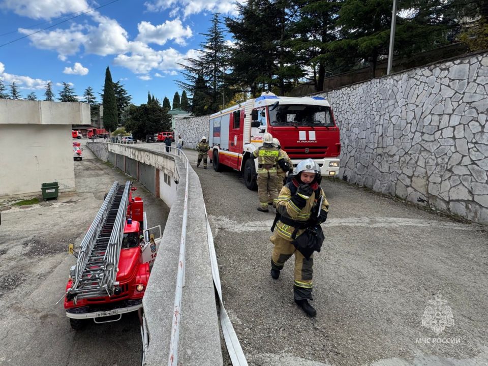 �������-����������� ������ � 14-������� ������ ��������� �������