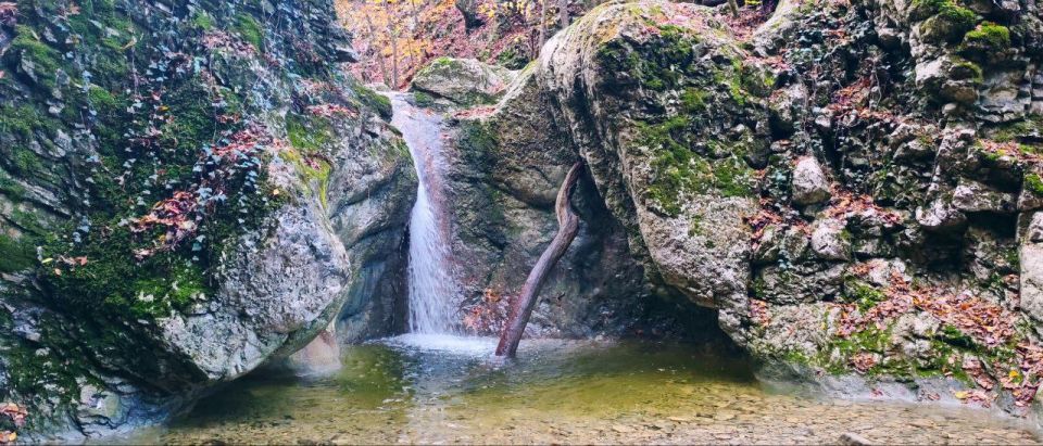 ���������� ������� ��� � �����