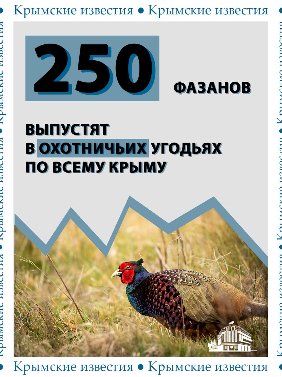 250 фазанов выпустят в охотничьих угодьях пяти районов Крыма