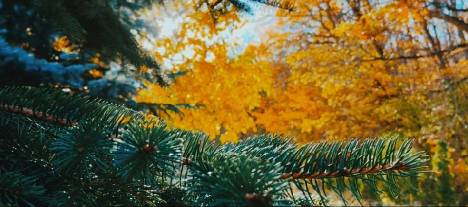 ���������� ������� ��� � �����