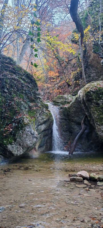 ���������� ������� ��� � �����