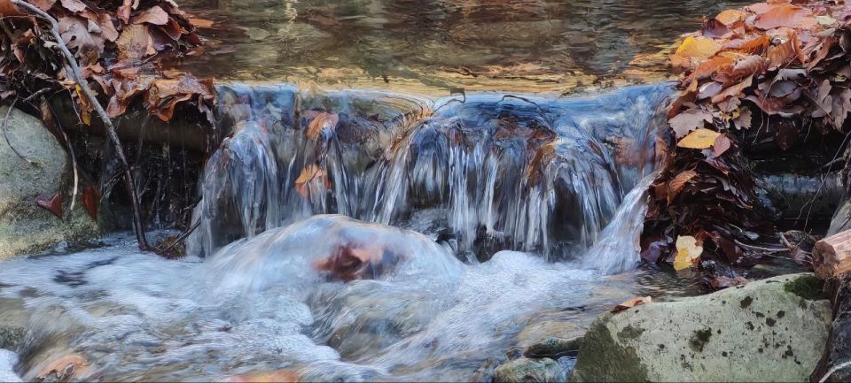 ���������� ������� ��� � �����