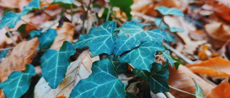 ���������� ������� ��� � �����