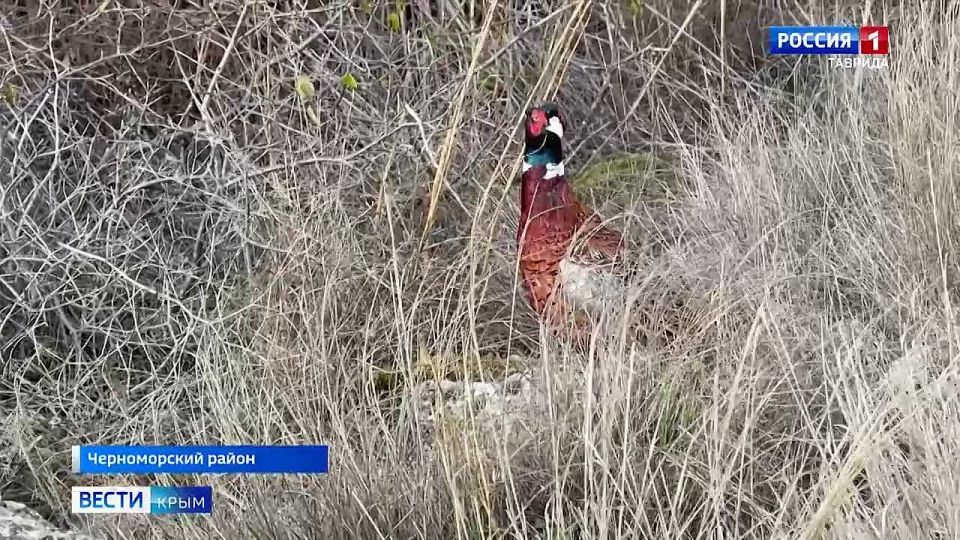 ��������� ��������� ������ �� ���� ������ � �����