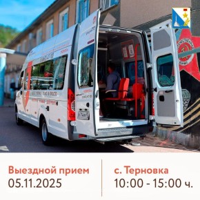 Выездной прием МФЦ в Терновке