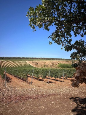 Доброе утро, Севастополь!. Погода на 3 ноября: • пасмурно