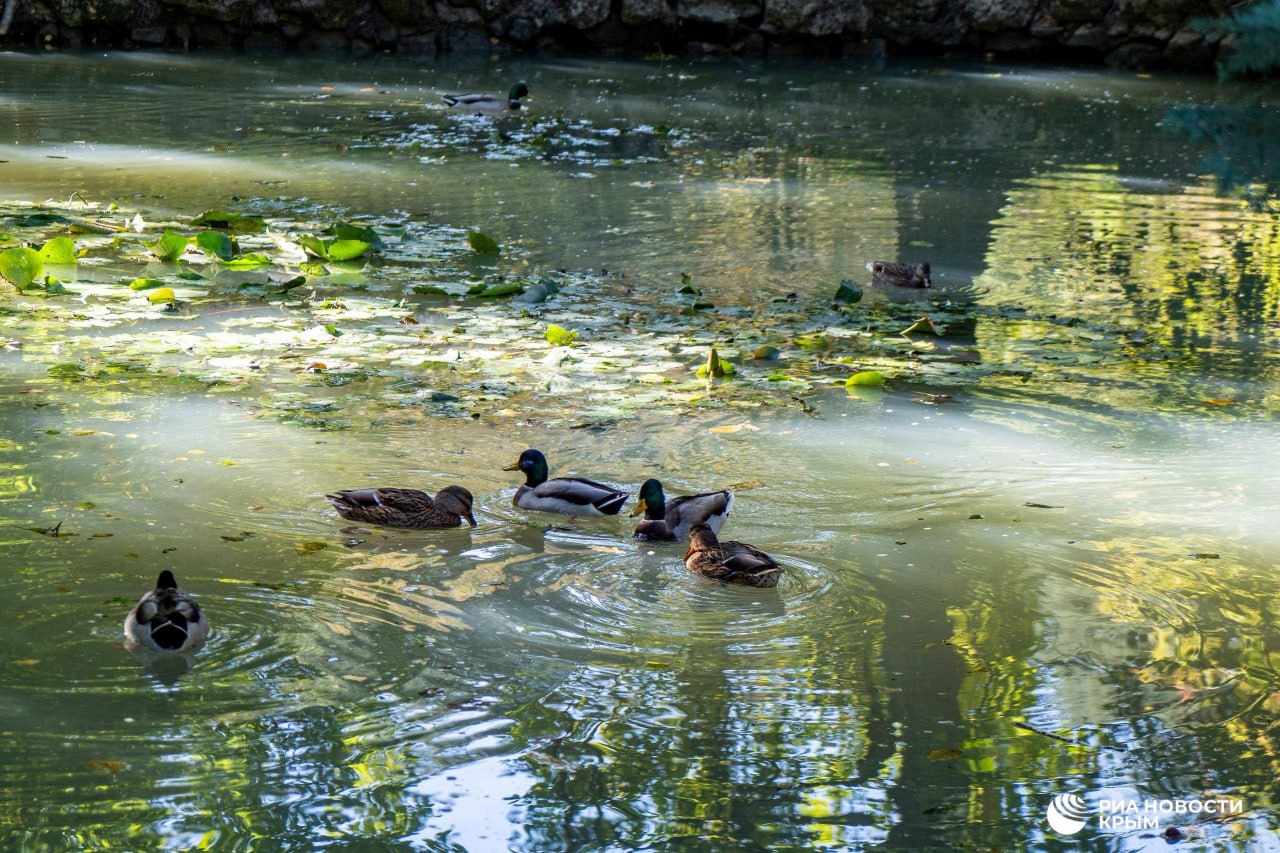 Погода на новых территориях России
