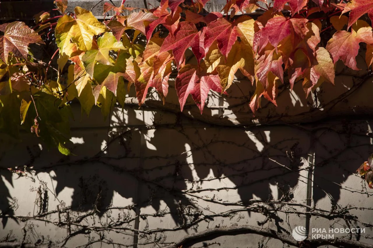 Погода на новых территориях России