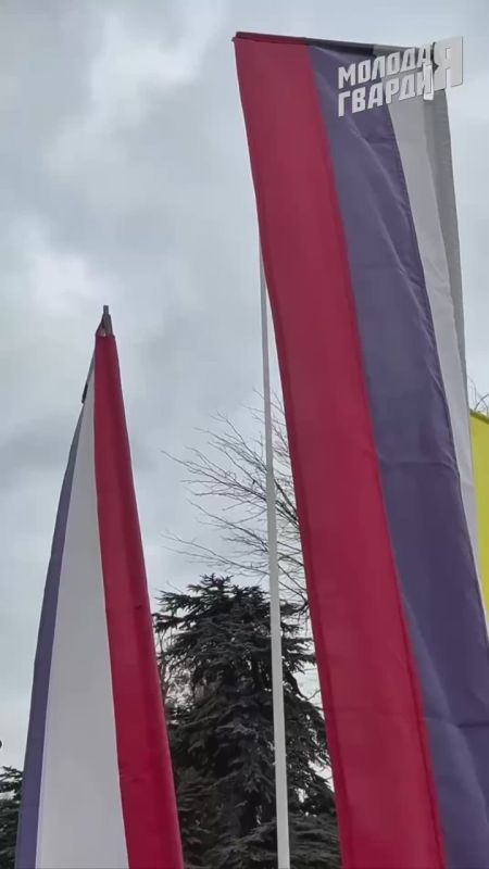 Молодогвардейцы Евпатории поздравили жителей с Днём народного единства