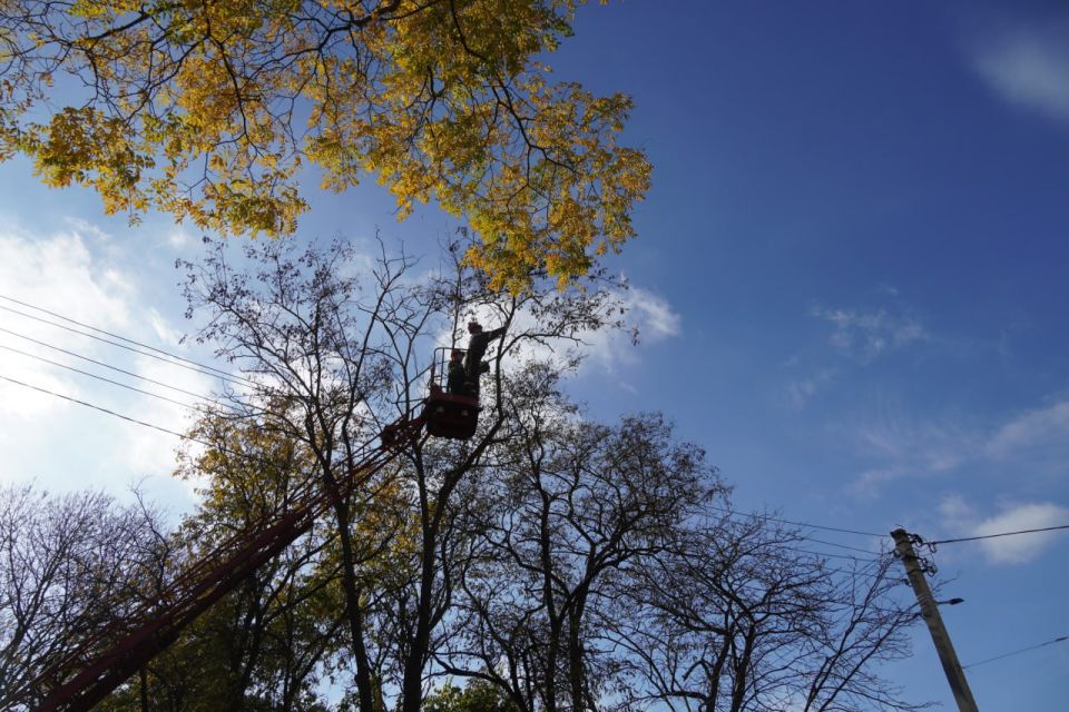          .  , 6/1, . , 5/2,  , 2/5,    