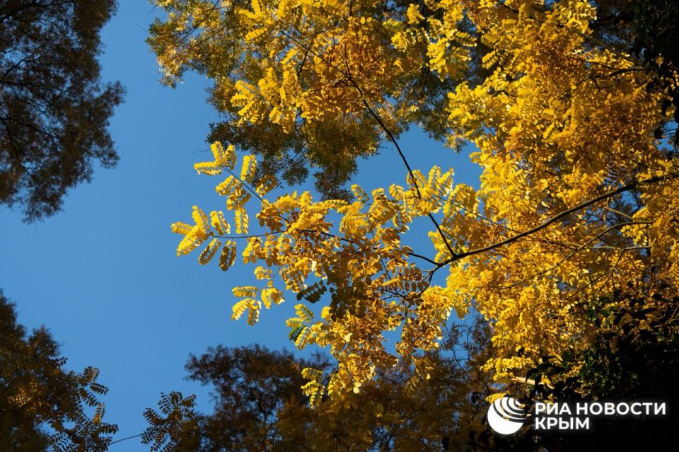 ������� ������ � ����� �� �����