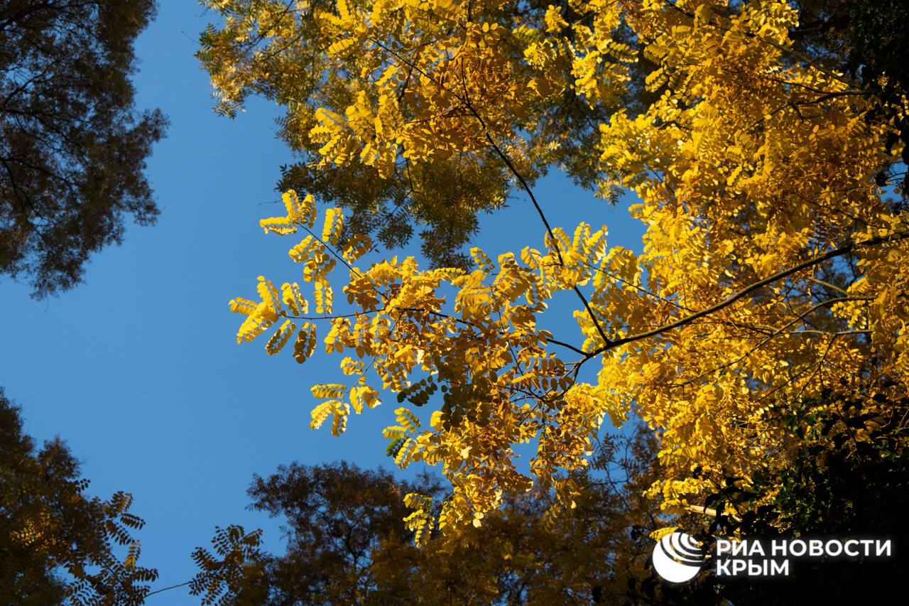 Прогноз погоды в Крыму на среду