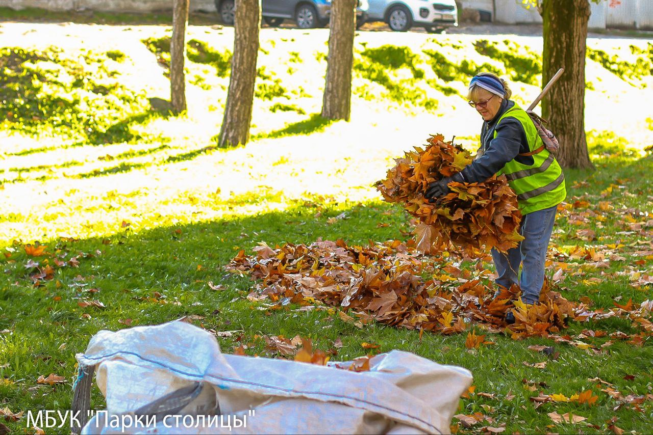 Зелёные уголки Симферополя: ежедневный уход и забота Зелёные уголки Симферополя: ежедневный уход и забота