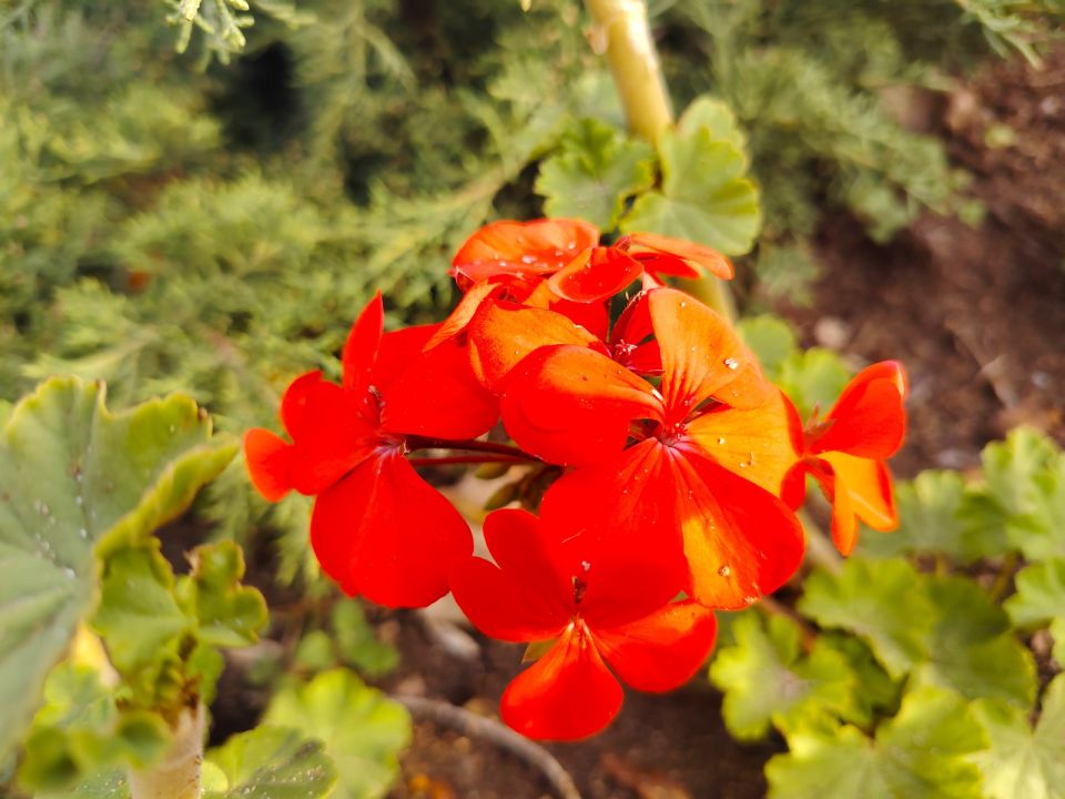 � ������ �����, �������!. ������ ������� � ����������� ����! ����� ��� ���� �������� � ����-�� ��������, � ���������� ���-�� �������������! ������� � �������� ������������ ����������, t + 7 - +12, ����� ���������...