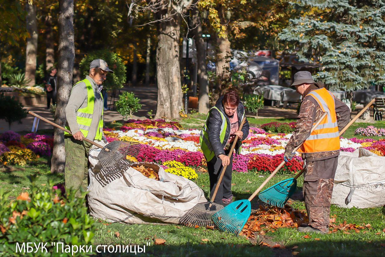 Зелёные уголки Симферополя: ежедневный уход и забота