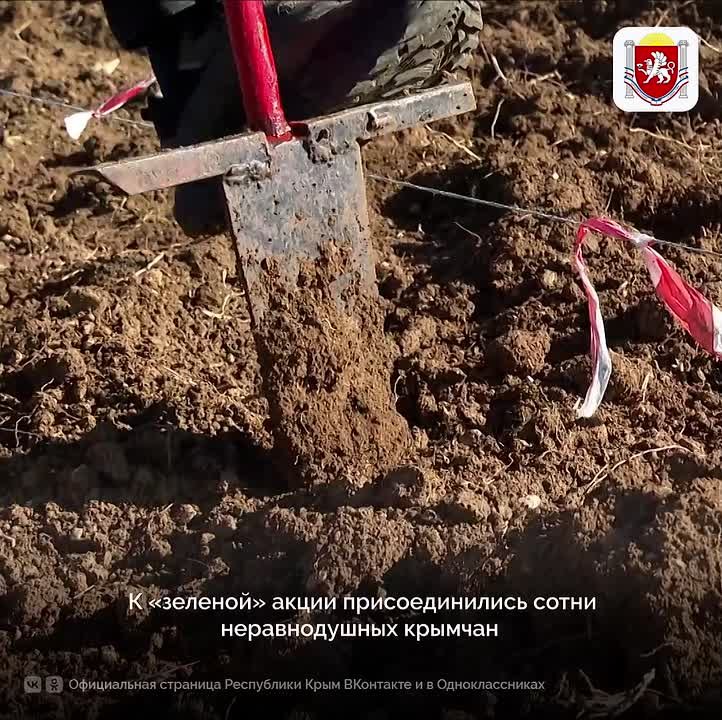 В Крыму стартовала акция «Сохраним лес»