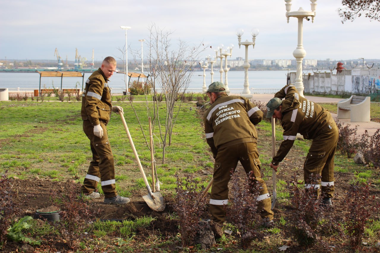 Монтаж системы автоматического полива в сквере «Монетка» вышел на финальный этап Монтаж системы автоматического полива в сквере «Монетка» вышел на финальный этап