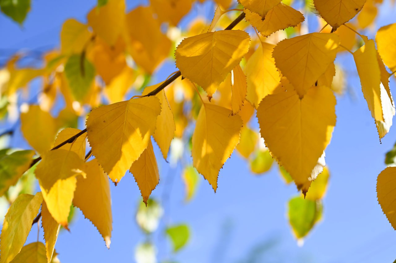 Сентябрь и октябрь на полуострове в этом году выдались тёплыми