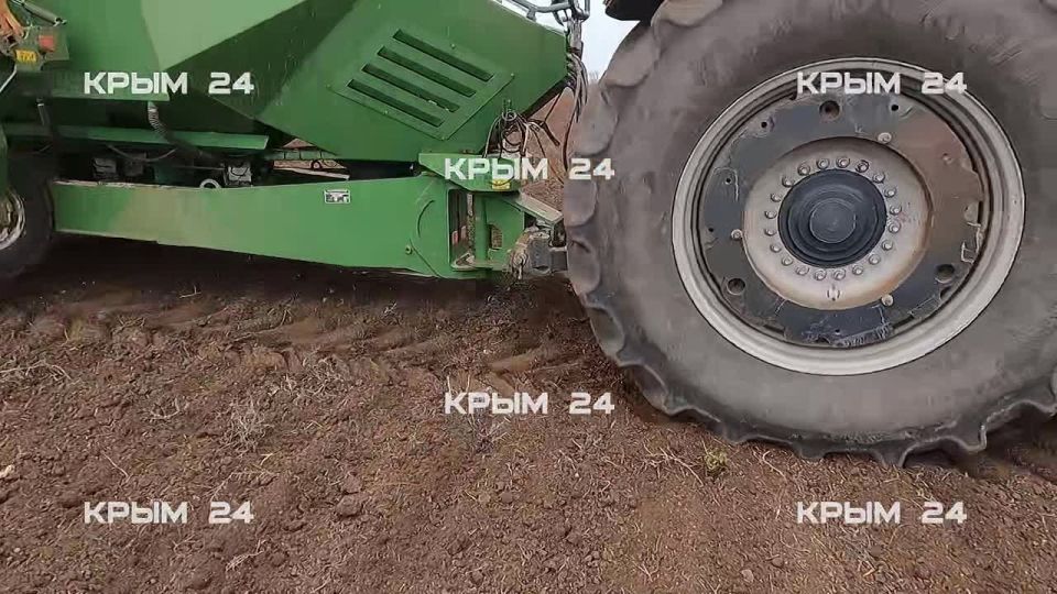 ������� �������� �������� � ����� ��������� �� 80%