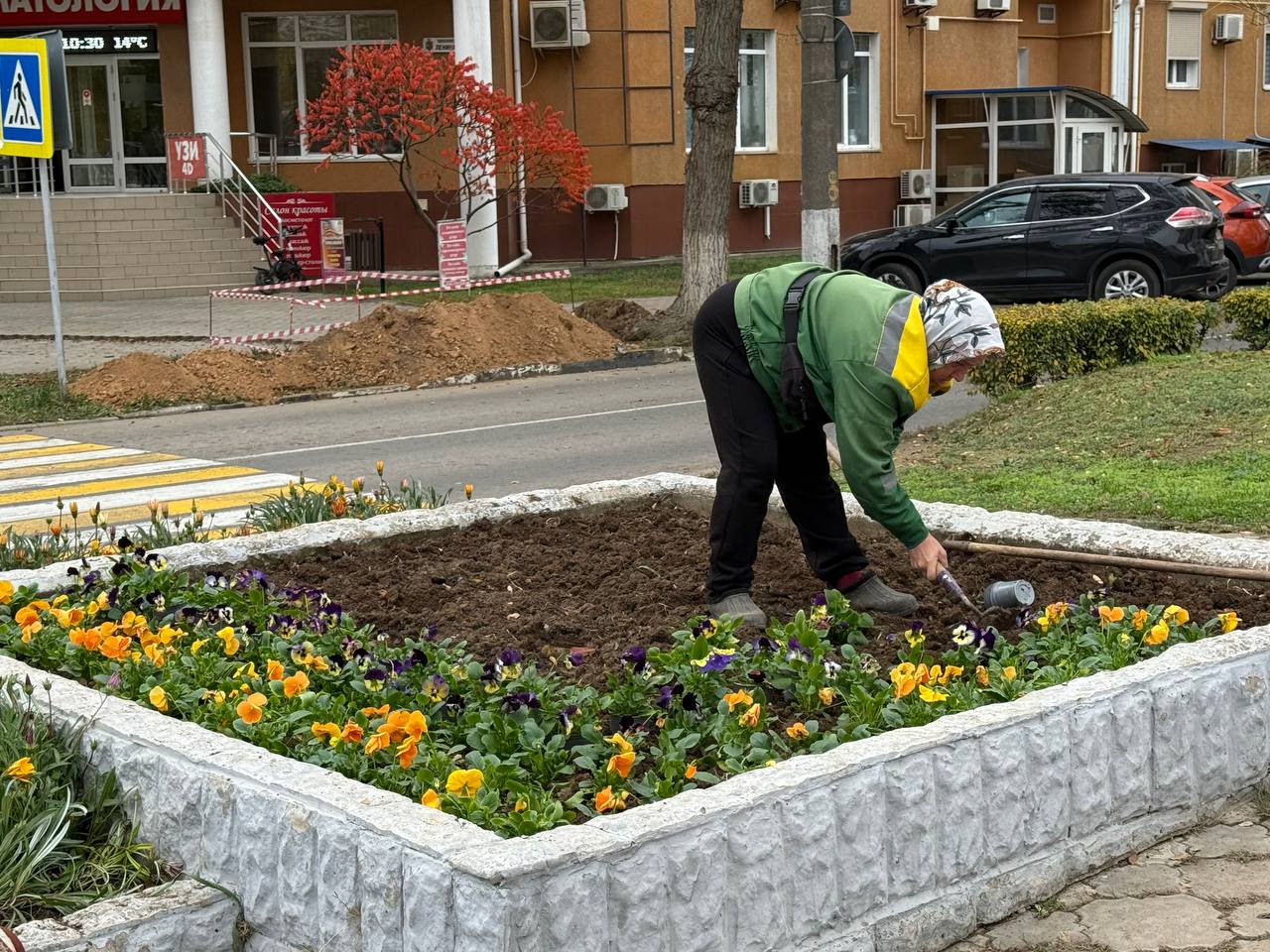 Александр Юрьев: Озеленители МУП «МО «Комбинат благоустройства» продолжают украшать город цветами, которые будут радовать нас до зимы и первыми взойдут на городских клубах следующей весной Александр Юрьев: Озеленители МУП «МО «Комбинат благоустройства» продолжают украшать город цветами, которые будут радовать нас до зимы и первыми взойдут на городских клубах следующей весной