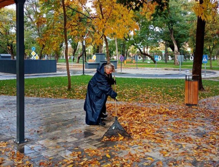 Зелёные уголки Симферополя: ежедневный уход и забота Зелёные уголки Симферополя: ежедневный уход и забота