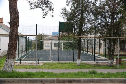  :      ,           - 