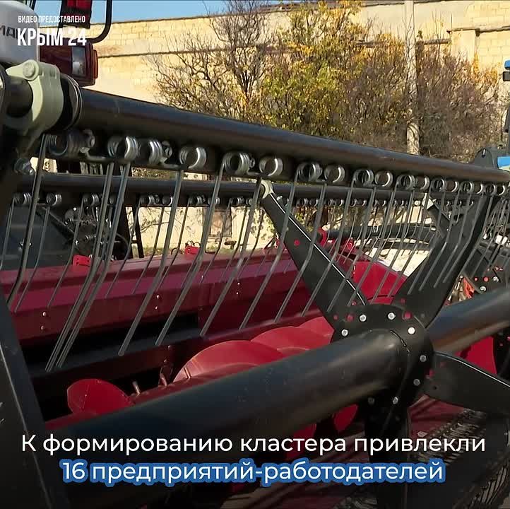 В Крыму приступили к созданию кластера среднего профессионального образования «Профессионалитет в отрасли сельского хозяйства»