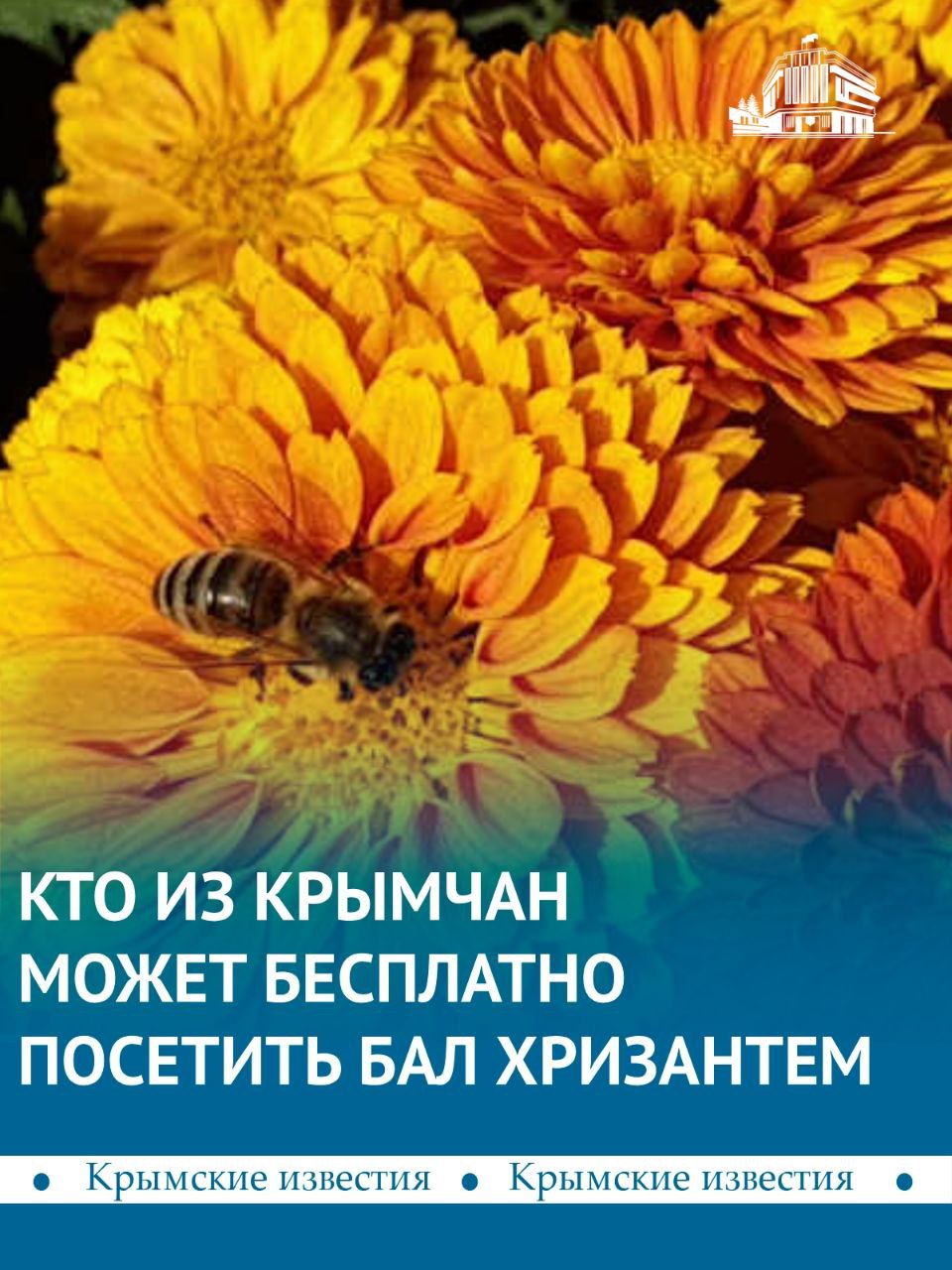 Бесплатно посетить Бал хризантем в Никитском ботсаду смогут пенсионеры 10 ноября