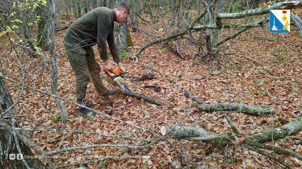 Сотрудники севастопольского лесничества напоминают о правилах сбора валежника Сотрудники севастопольского лесничества напоминают о правилах сбора валежника