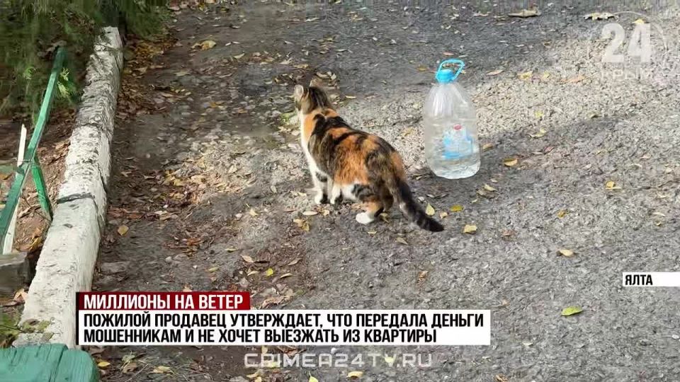 Крымчанка, купившая квартиру на Южнобережье, осталась без денег и жилья