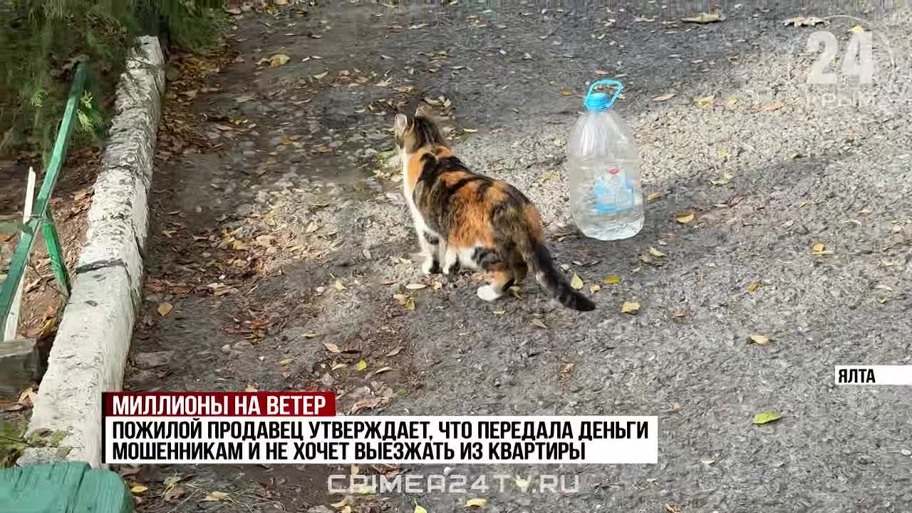 Крымчанка, купившая квартиру на Южнобережье, осталась без денег и жилья