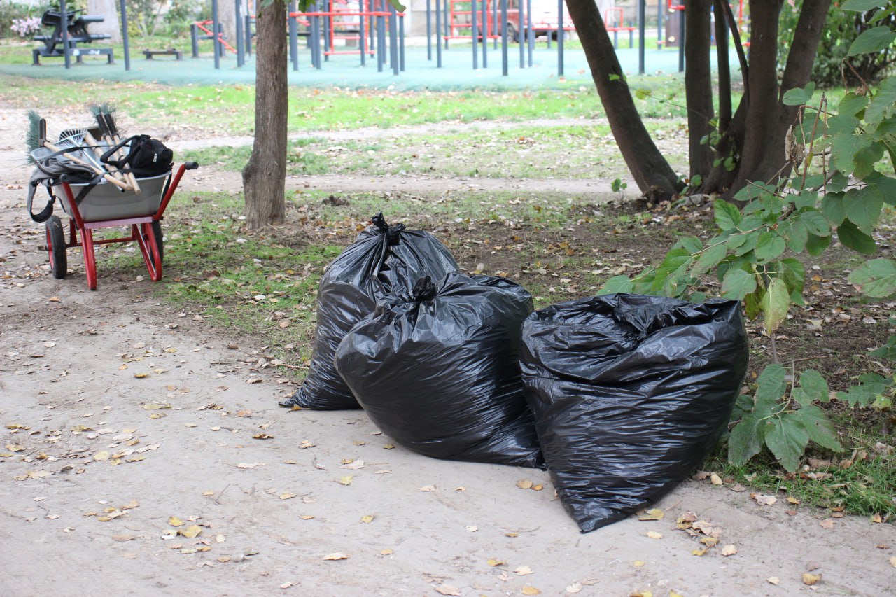 От 70 до 120 мешков листвы От 70 до 120 мешков листвы