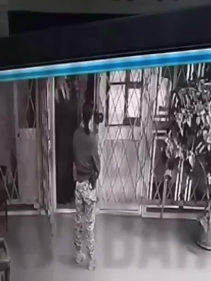 Денис Батурин: После спецоперации ГУР и Зеленского «на Покровском направлении», апофеозом шоу-политики в исполнении режима Зеленского стал визит в Херсон американской актрисы Анжелины Джоли