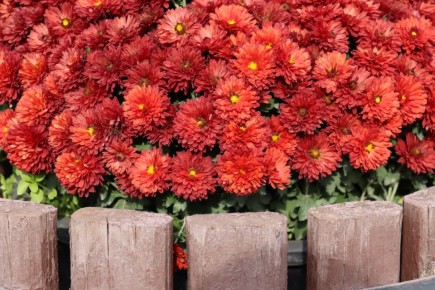 Прогноз погоды в Крыму на 6 ноября