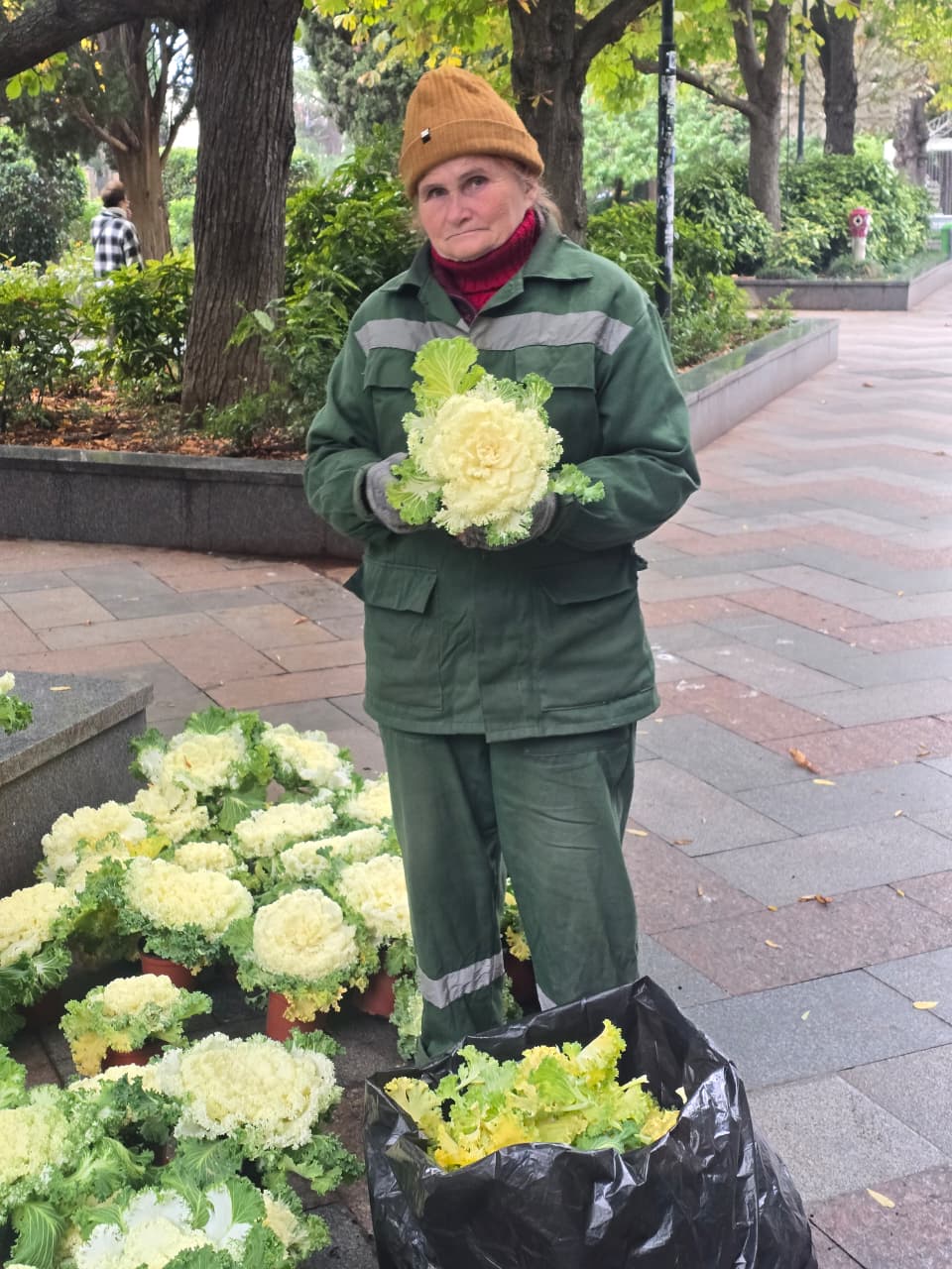 Янина Павленко: Яркая, оригинальная, привлекающая внимание Специалисты «Зеленстроя» приступили к высадке декоративной капусты Янина Павленко: Яркая, оригинальная, привлекающая внимание Специалисты «Зеленстроя» приступили к высадке декоративной капусты