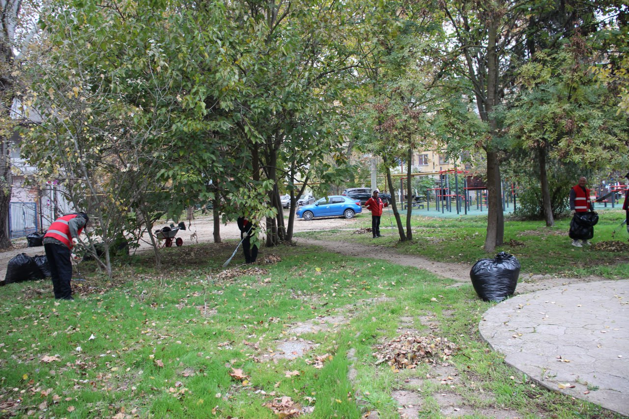 От 70 до 120 мешков листвы От 70 до 120 мешков листвы