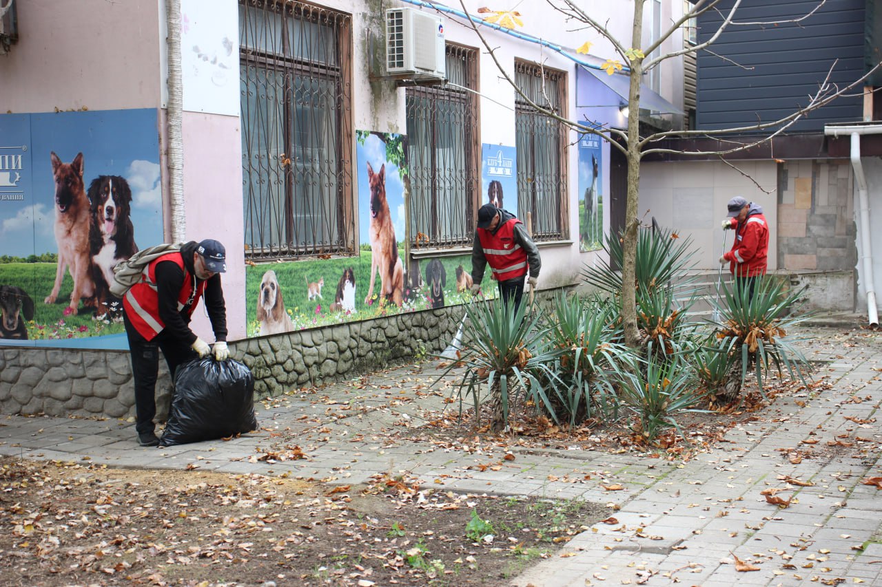 От 70 до 120 мешков листвы От 70 до 120 мешков листвы