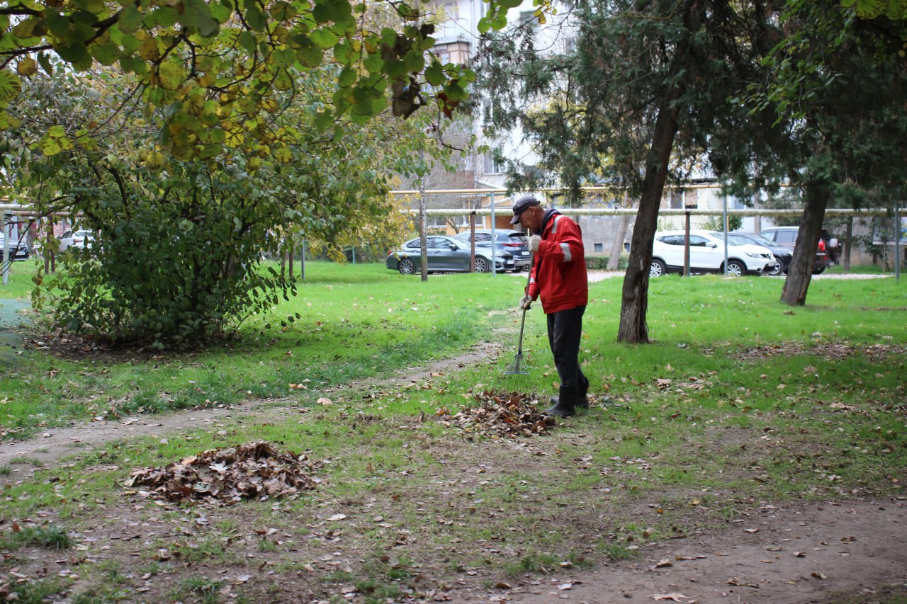 От 70 до 120 мешков листвы От 70 до 120 мешков листвы