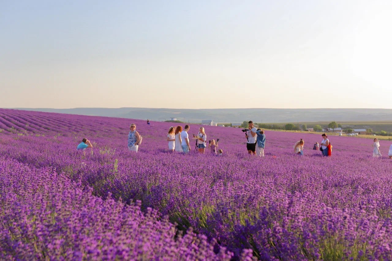 Крымские проекты вышли в финал XIV Международной премии Russian Event Awards