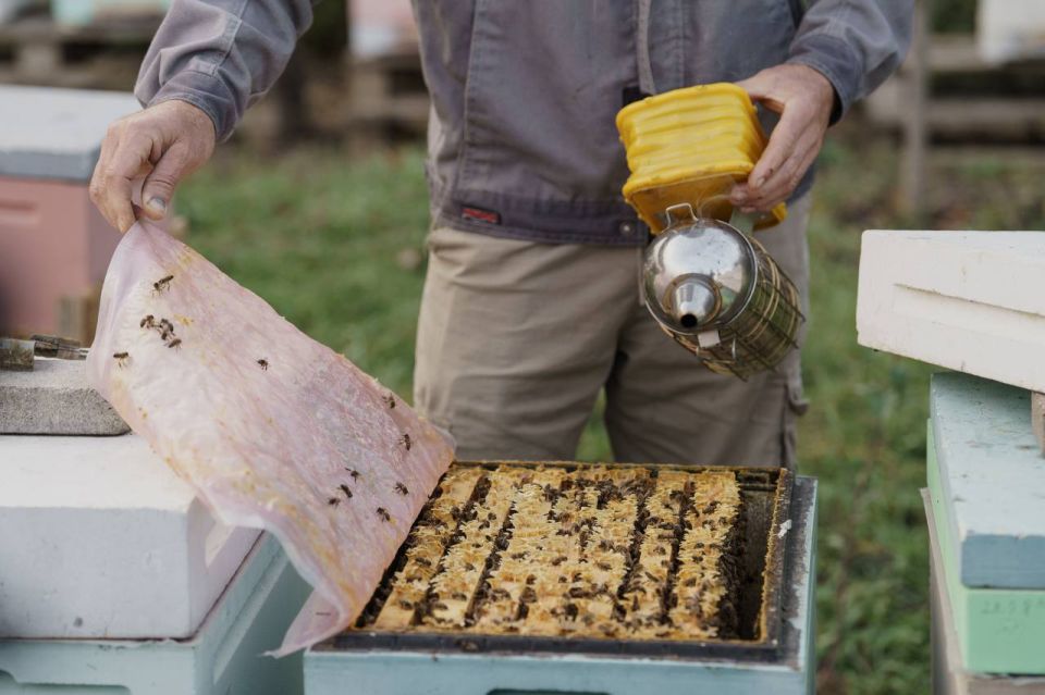 ������ ���������: ����������� ������������ ����������: ��������� ������������ ������� ��������� ������