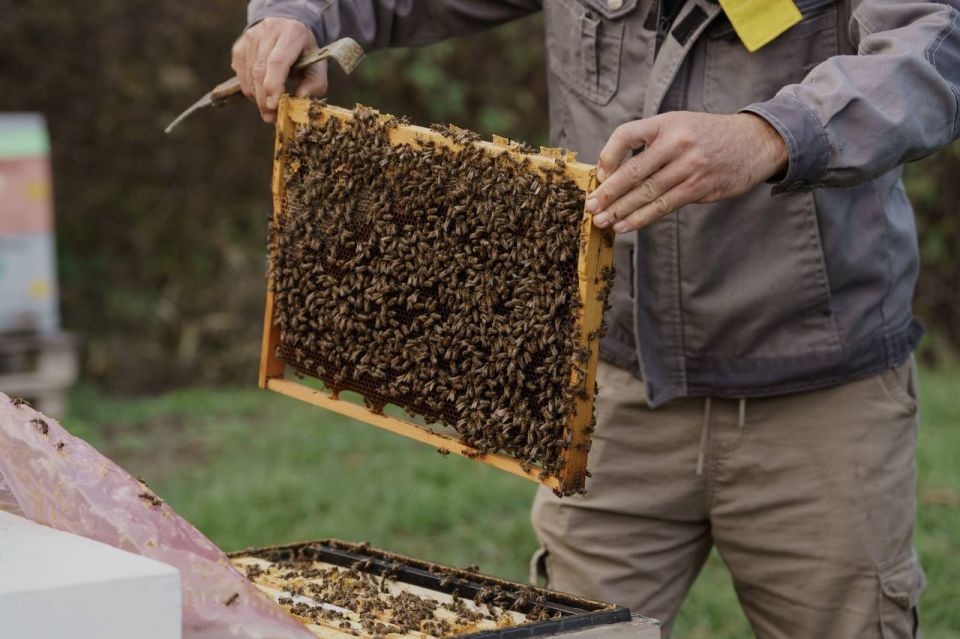 ������ ���������: ����������� ������������ ����������: ��������� ������������ ������� ��������� ������