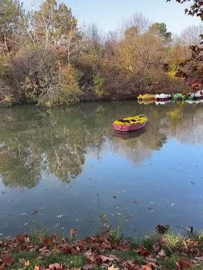 В озере симферопольского парка им. Гагарина появилась вот такая украшенная цветами лодка