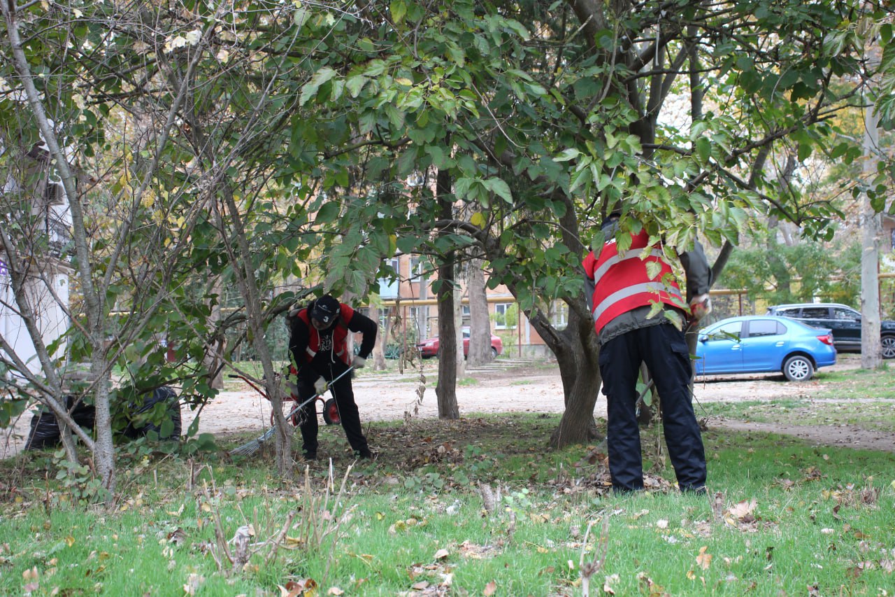 От 70 до 120 мешков листвы От 70 до 120 мешков листвы