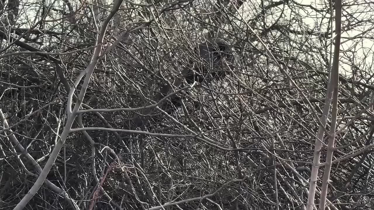 Найди своё призвание!. Будь настоящим патриотом, выбирай службу по контракту в Вооружённых Силах России