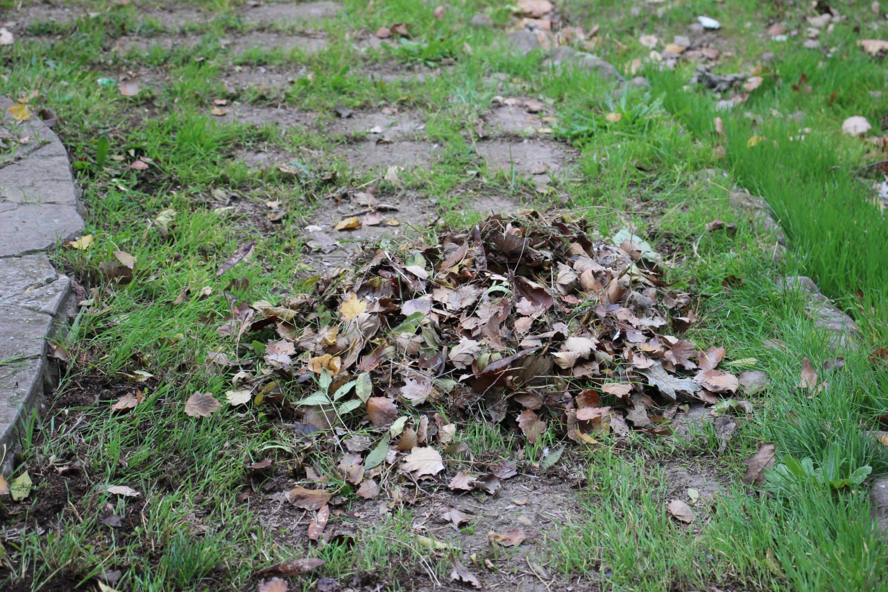 От 70 до 120 мешков листвы От 70 до 120 мешков листвы