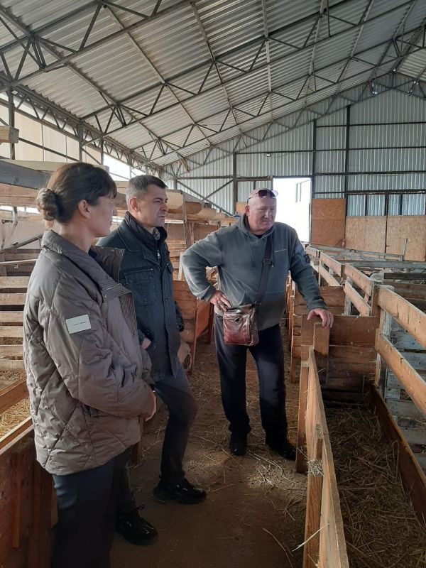 ������� ����� � ������ ��������� ������ �����: �������� �������������� �����������