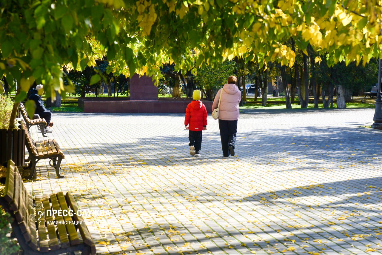 С 30 октября по 5 ноября первые в жизни документы были выданы 22 новорожденным
