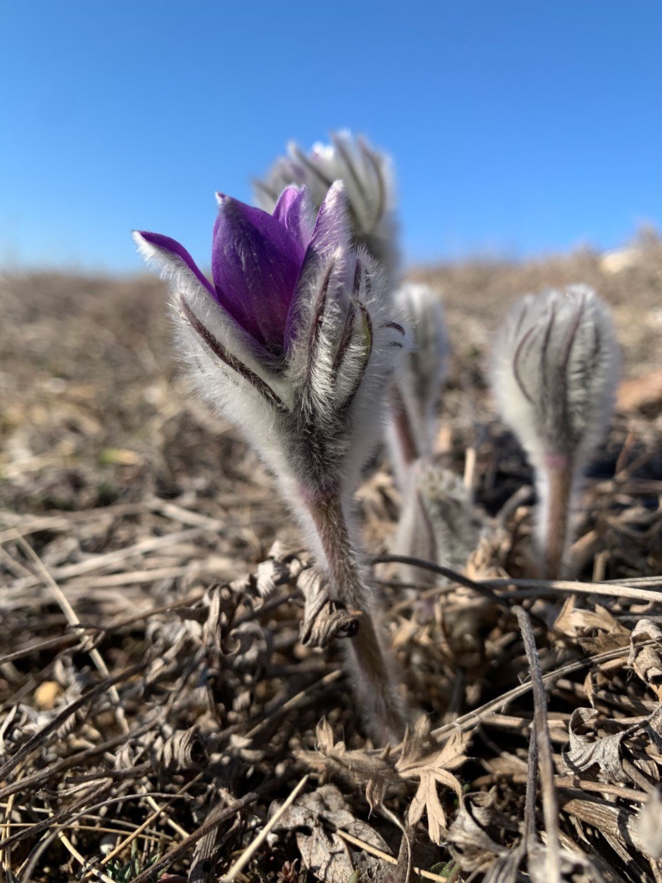 Министр экологии и природных ресурсов Республики Крым Ольга Шевцова наградила победителей регионального заочного конкурса «Крым в фокусе экообъектива» Министр экологии и природных ресурсов Республики Крым Ольга Шевцова наградила победителей регионального заочного конкурса «Крым в фокусе экообъектива»